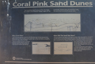 Coral Pink Sand Dunes State Park, Kanab, Utah