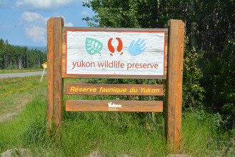 Yukon Wildlife Preserve Animals
